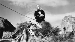 The Crime of Aldeia Velha