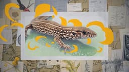 Darwin express - Les nouveaux défis de l'évolution