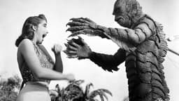 Back to the Black Lagoon: A Creature Chronicle