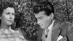 Attik's Street Organ